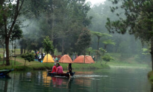 Wana Wisata Mandalawangi