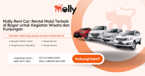 Molly Rent Car Rental Mobil Terbaik di Bogor untuk Kegiatan Wisata dan Kunjungan | Molly Wisata 2024