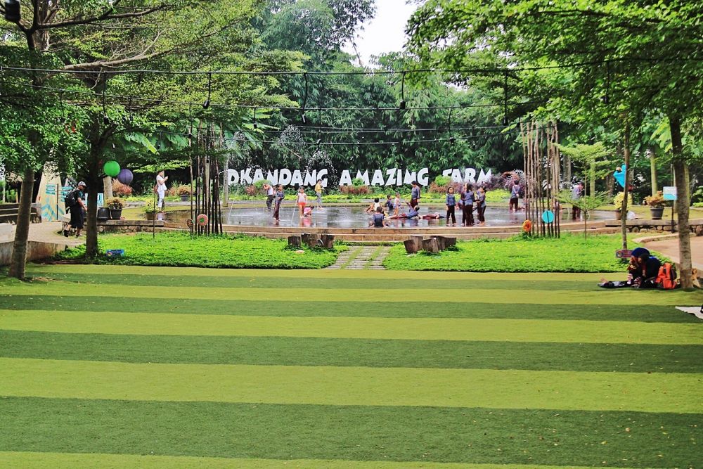 D’Kandang Amazing Farm