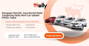 Mengapa Memilih Jasa Rental Mobil Tangerang Molly Rent Car adalah Pilihan Tepat | Molly Wisata 2024