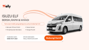 Molly Rent Car Solusi Sewa Mobil Elf Terpercaya di Jakarta