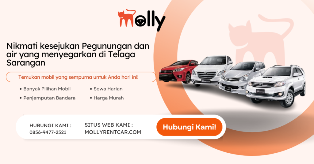 Nikmati kesejukan Pegunungan dan air yang menyegarkan di Telaga Sarangan | Molly Wisata 2024