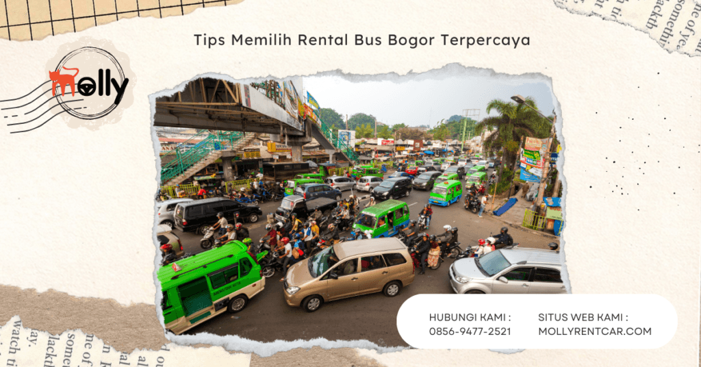 Tips Memilih Rental Bus Bogor Terpercaya 2 ✅ | Molly Wisata 2026 Tips Memilih Rental Bus Bogor