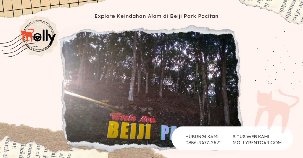 Explore Keindahan Alam di Beiji Park Pacitan