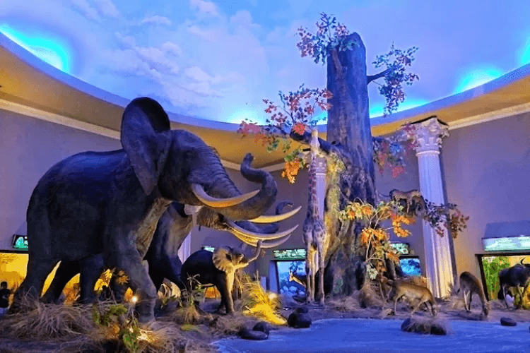 Menjelajahi Wahana Seru di Jatim Park 2 3 | Molly Wisata 2025 Menjelajahi Wahana Seru di Jatim Park 2