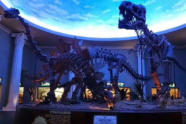 Museum Satwa, Museum Bertaraf Internasional di Malang 4 | Molly Wisata 2025 Museum Satwa 2