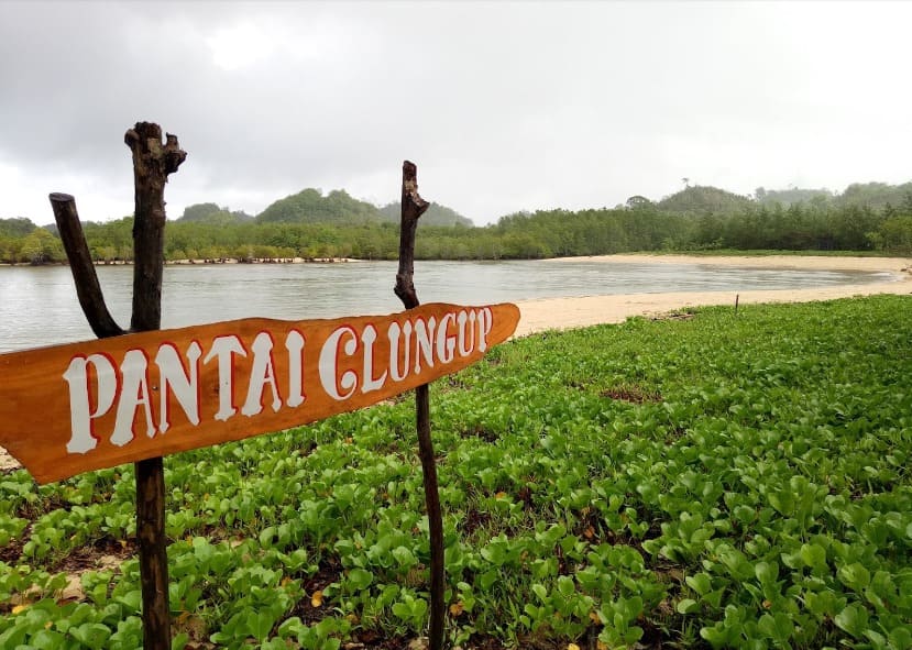 Keindahan Pasir Putih di Pantai Clungup 2 | Molly Wisata 2025 Pantai Clungup