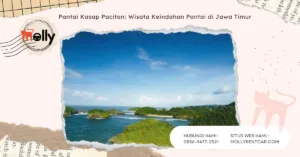 Pantai Kasap Pacitan Wisata Keindahan Pantai di Jawa Timur