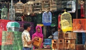 Serunya Wisata Flora dan Fauna ke Pasar Bratang Surabaya 4 | Molly Wisata 2025 Pasar Burung Bratang