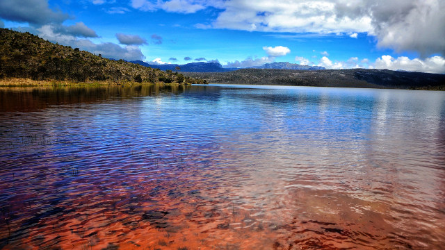 Danau Habema