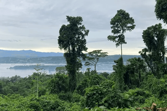 10 Tempat Wisata Di Papua Barat Paling Indah Terpopuler 6 | Molly Wisata 2025 Gunung Meja