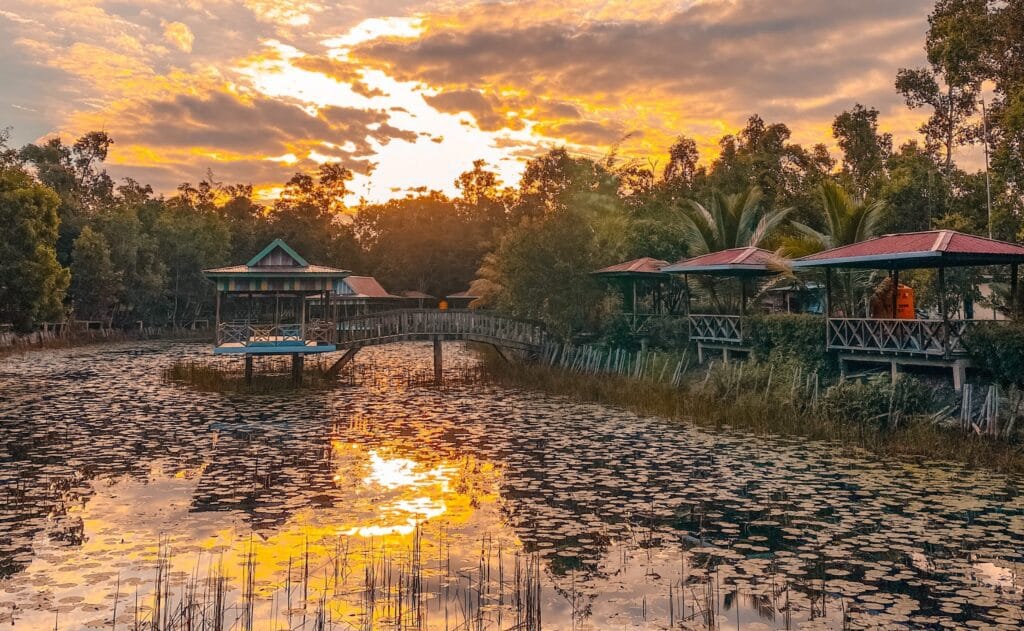 7 Tempat Wisata Di Merauke yang Harus Kamu Kunjungi 7 | Molly Wisata 2025 Lotus Garden