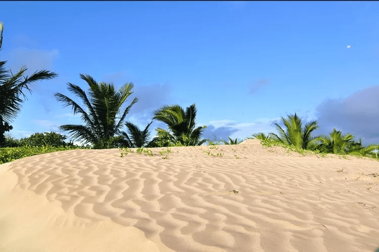 7 Tempat Wisata Di Merauke yang Harus Kamu Kunjungi 5 | Molly Wisata 2025 Pantai Payum