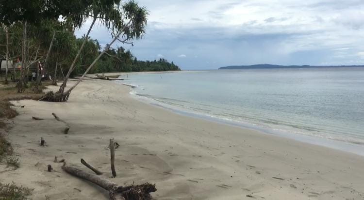 5 Tempat Wisata di Manokwari Selatan Bernuansa Alam 4 | Molly Wisata 2025 Pantai Syari