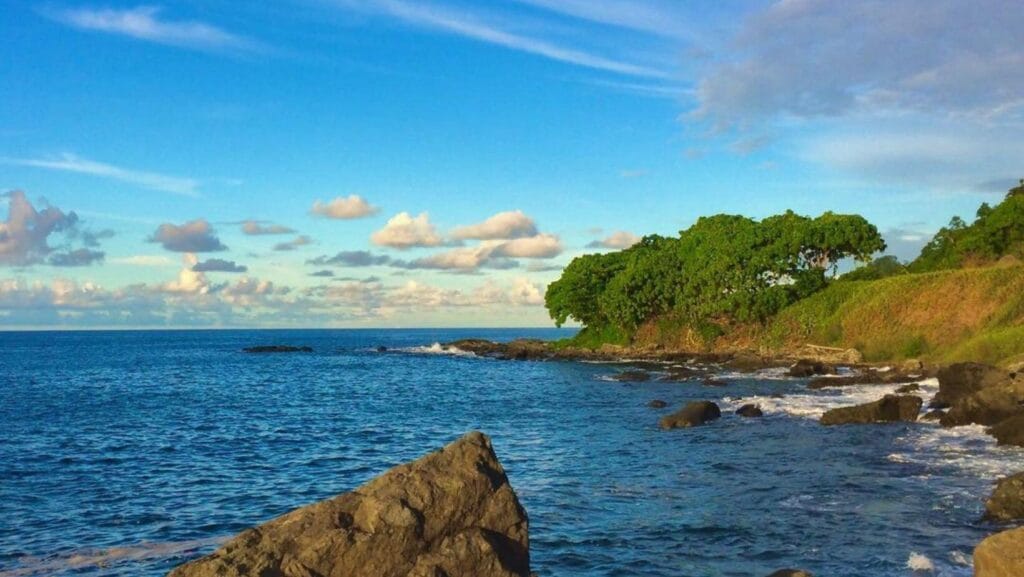 Pantai Tanjung Kasuari
