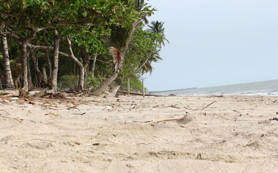 7 Tempat Wisata Di Merauke yang Harus Kamu Kunjungi 6 | Molly Wisata 2025 Pantai Wisata Onggaya