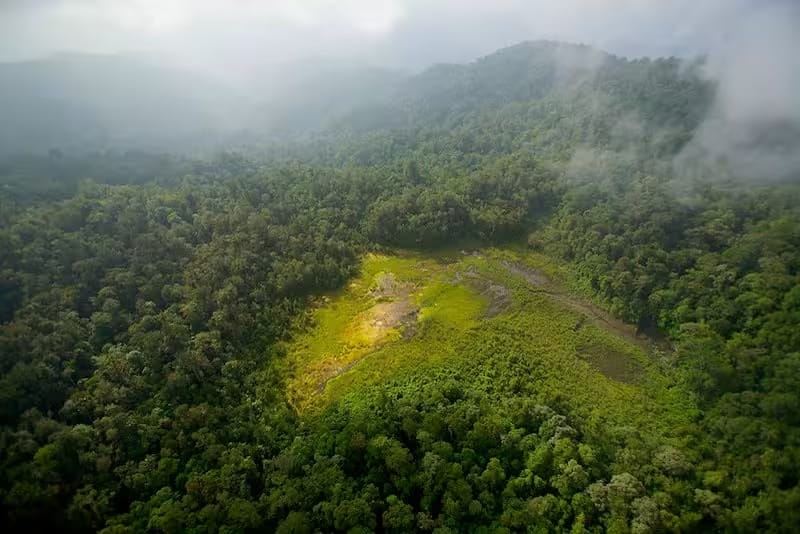 6 Tempat Wisata Di Mamberamo Raya Bertema Alam & Budaya 5 | Molly Wisata 2025 Pegunungan Foja