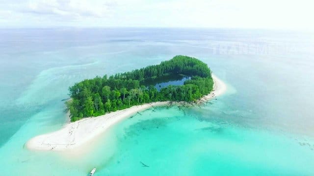 Pulau Venu