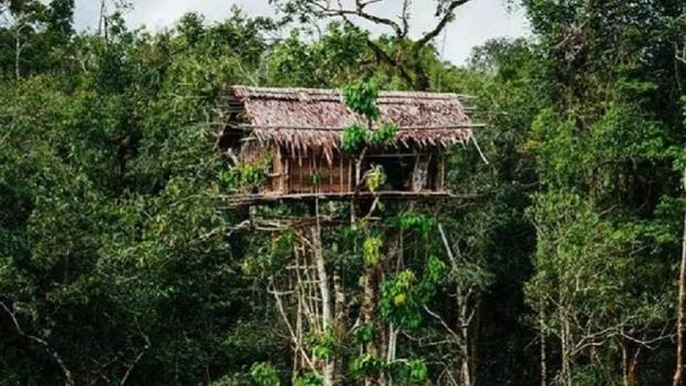 6 Tempat Wisata Di Boven Digoel Paling Direkomendasikan 2 | Molly Wisata 2025 Rumah Pohon