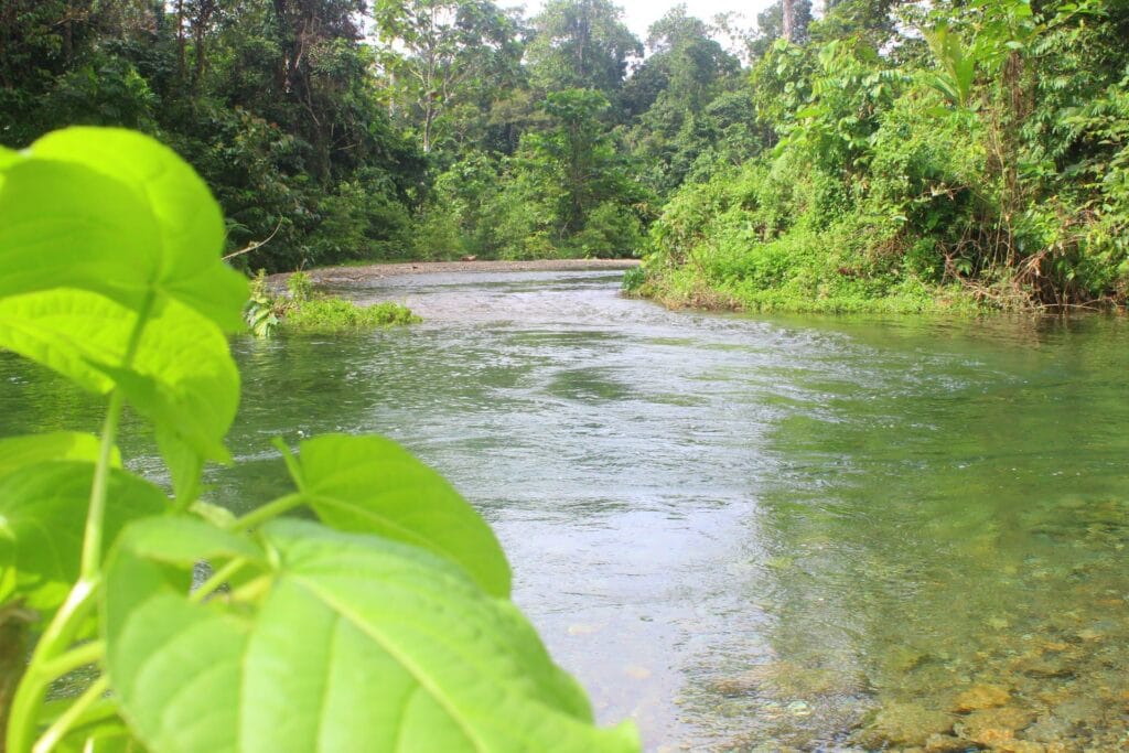 Sungai Iwaka