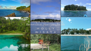 Tempat Wisata Di Sorong | Molly Wisata 2024