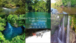 Tempat Wisata Di Sorong Selatan