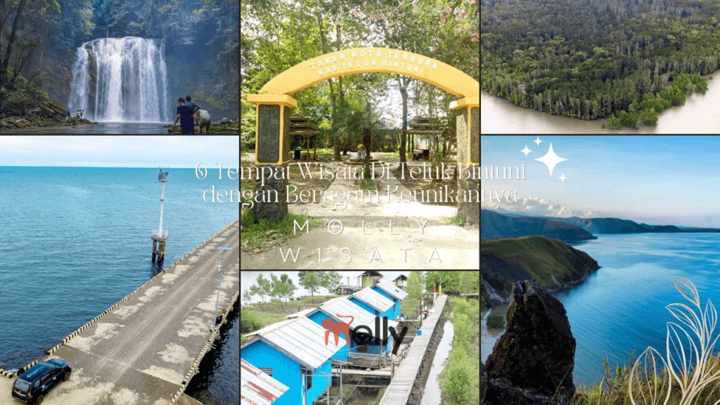 Tempat Wisata Di Teluk Bintuni | Molly Wisata 2025