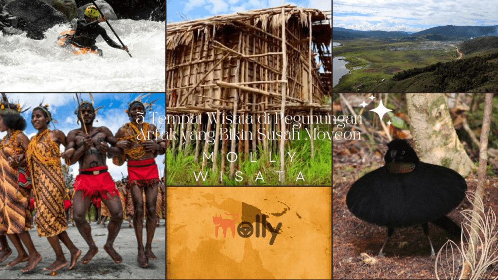 5 Tempat Wisata di Pegunungan Arfak yang Bikin Susah Moveon 1 | Molly Wisata 2025 Bukit Kobrey
