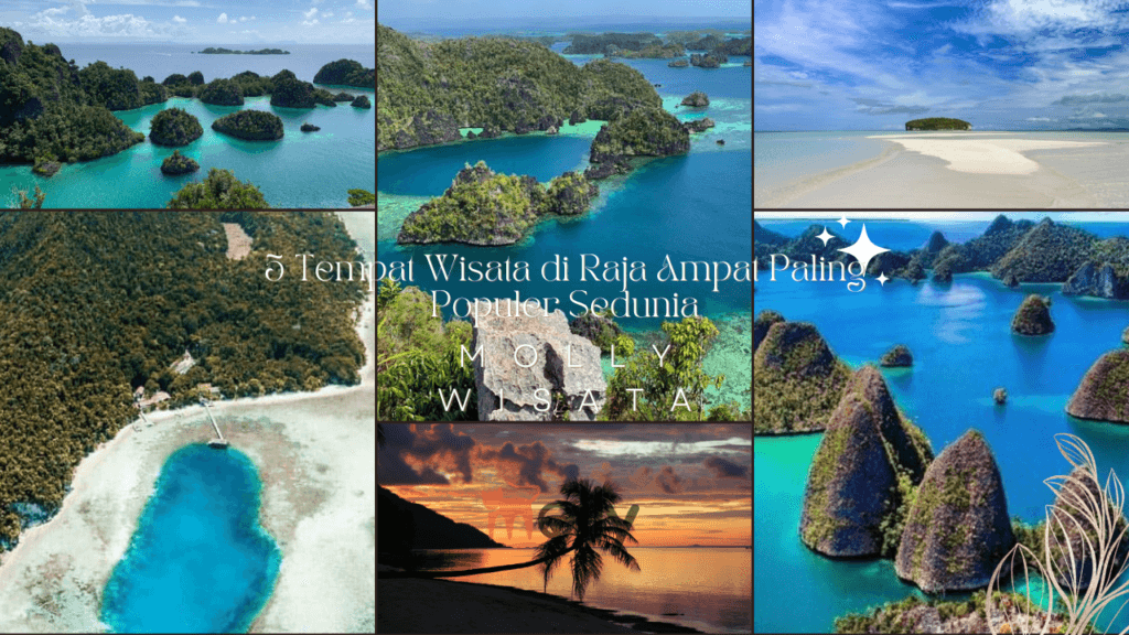 Tempat Wisata di Raja Ampat | Molly Wisata 2025