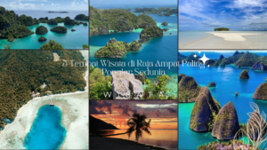 Tempat Wisata di Raja Ampat | Molly Wisata 2024