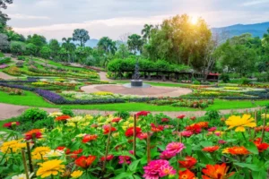 Agrowisata Bunga