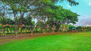 Tempat Wisata di Kendal Jawa Tengah Terbaru 8 | Molly Wisata 2025 Agrowisata Tirto Arum Baru