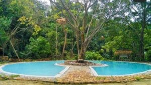 Tempat Wisata Di Langkat Paling Hits Dan Terbaru 2 | Molly Wisata 2025 Air Panas Simolap