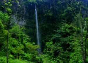 Air Terjun Kalipancur