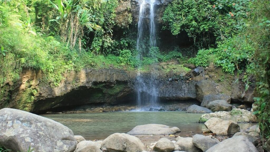 Air Terjun Krecekan Denu