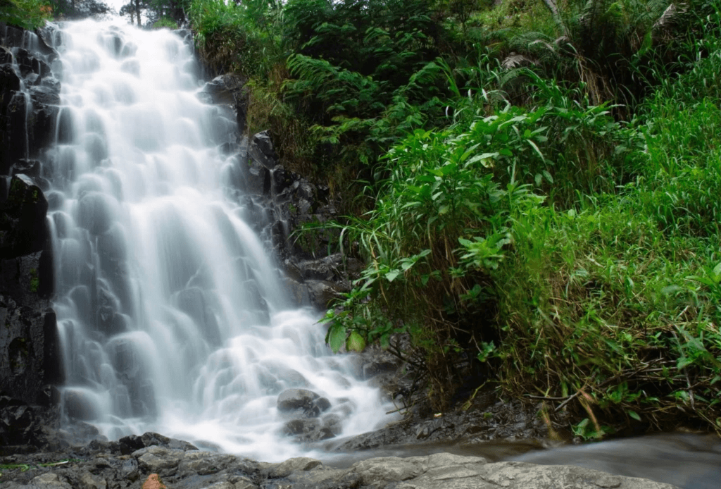 Tempat Wisata di Magetan, Keindahan Kota Kaki Gunung 8 | Molly Wisata 2025 Air Terjun Pundak Kiwo