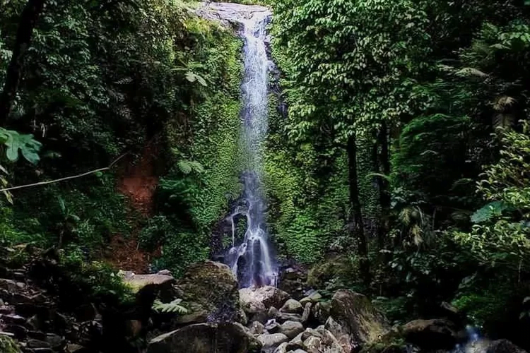 Tempat Wisata di Ngawi Ini Paling Cocok Untuk Liburan 12 | Molly Wisata 2025 Air Terjun Suwono