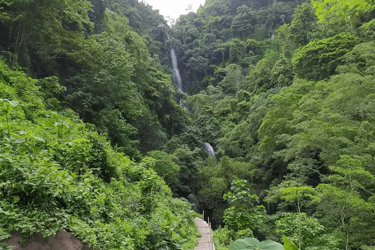 Tempat Wisata di Situbondo Paling Direkomendasikan 7 | Molly Wisata 2025 Air Terjun Talempong