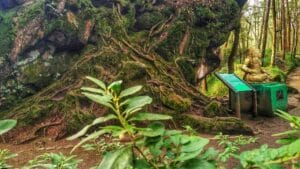 Tempat Wisata Di Dieng Wonosobo Terkeren Wajib Dikunjungi 11 | Molly Wisata 2025 Batu Tulis Dieng