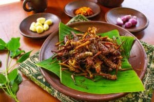 Belalang Goreng