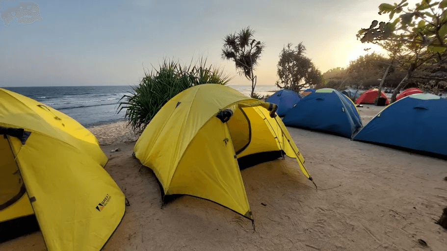 Pantai Watu Kodok: Tiket Masuk & Spot Foto Keren 6 | Molly Wisata 2025 Berkemah Di Pantai Watu Kodok