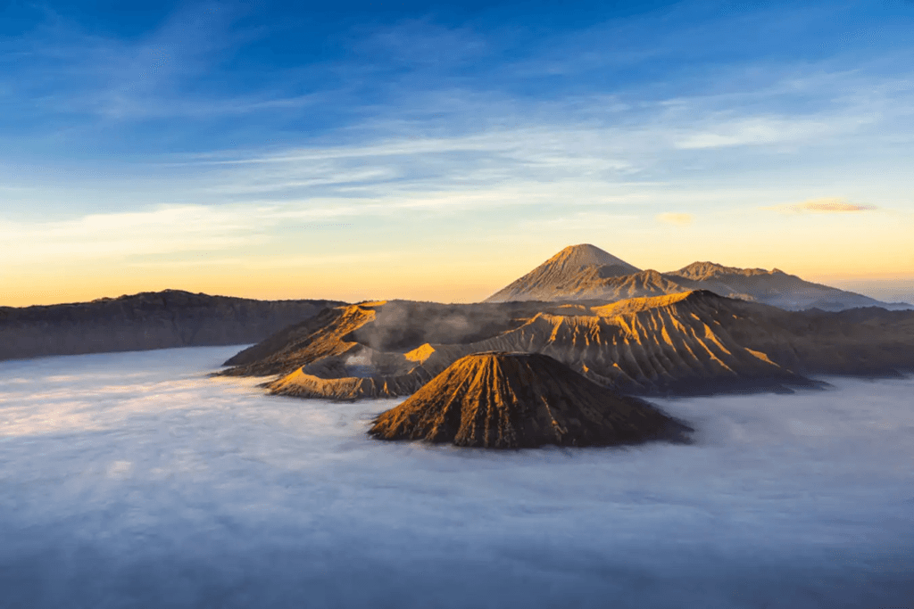 Tempat Wisata Di Pasuruan yang Bisa Bikin Betah 2 | Molly Wisata 2025 Bromo