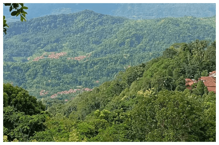 Tempat Wisata di Majalengka Keren Dan Edukatif 11 | Molly Wisata 2025 Bukit Alam Hejo