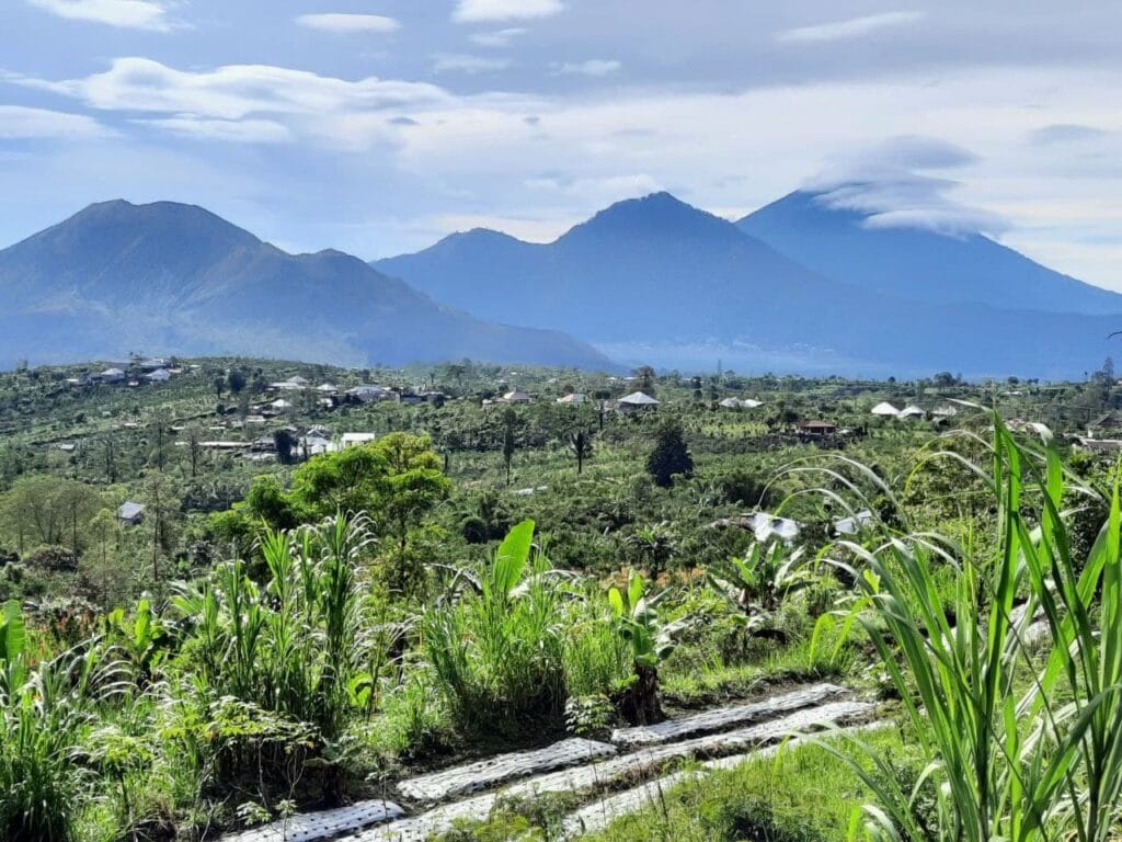 Bukit Demulih