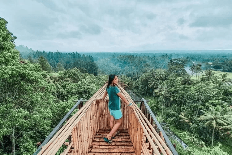 Tempat Wisata di Banyuwangi Terkeren, The Sunrise of Java 10 | Molly Wisata 2025 Bukit Mondoleko