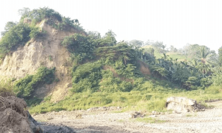 Bukit Paloh Batee
