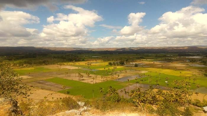 Tempat Wisata Di Sumba Timur Terindah Sepanjang Masa 4 | Molly Wisata 2025 Bukit Persaudaraan di Mauliru