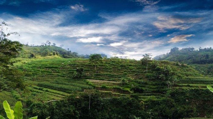 Tempat Wisata di Magetan, Keindahan Kota Kaki Gunung 14 | Molly Wisata 2025 Bukit Sekitran