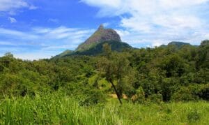 Tempat Wisata di Sumatera Paling Recomended 11 | Molly Wisata 2025 Bukit Serelo