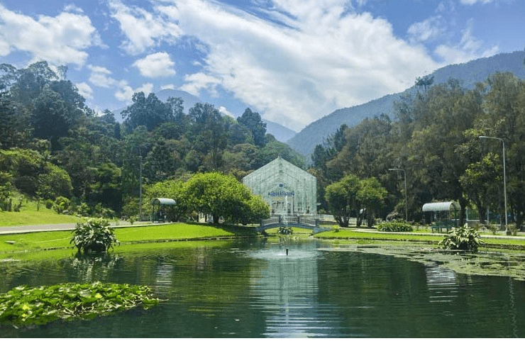 Tempat Wisata di Pulau Jawa yang Sangat Populer 4 | Molly Wisata 2025 Cibodas, Bogor